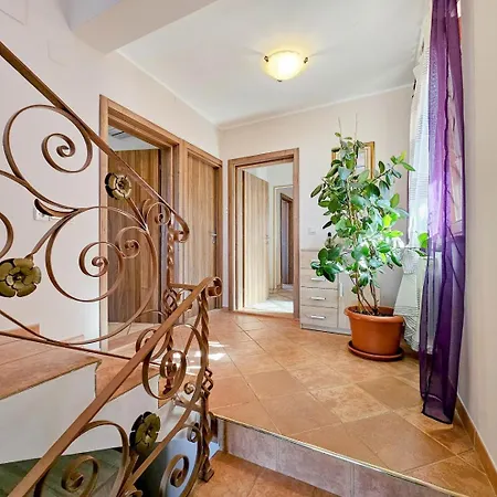 Stefi 2 スルベニ・ブル