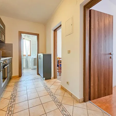 Stefi 2 スルベニ・ブル